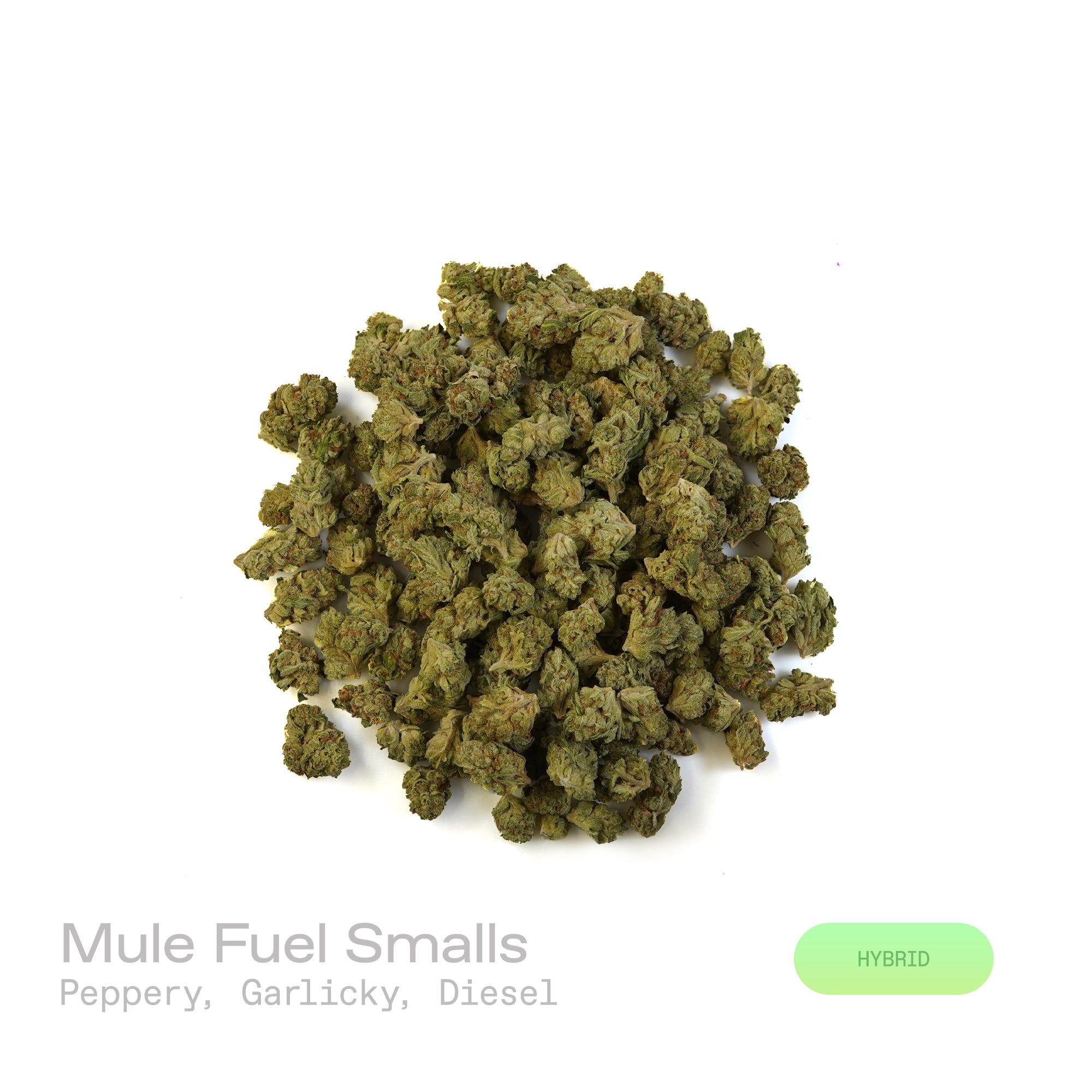 PUFFY Mule Fuel (smalls) is a hybrid THCa strain, crafted from a genetic cross of Lurch and GMO Cookies. The aroma is bold and pungent, with sharp peppery notes, a robust garlicky undertone, and the unmistakable fuel-like scent of diesel. Visually, the buds are dense and compact, showcasing a vibrant olive-green color and a sparkling layer of trichomes. Consumers often report a deeply relaxing experience, characterized by waves of euphoria, soothing calm, a heavy, calming body melt, and a blissful sense of 