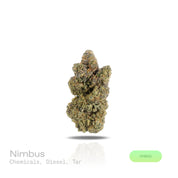 PUFFY Nimbus is a balanced hybrid THCa strain born from the potent cross between Dutchess and Purple Punch F2. The aroma is a bold and pungent blend of chemicals, diesel, and tar, giving it a strong, industrial edge. Visually, dense spring green buds with hints of purple, bright orange pistils, and a thick coating of sparkling trichomes. Consumers often report a euphoric experience that heightens focus and creativity while boosting mood and motivation. 