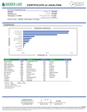 PUFFY NYC Diesel is a captivating hybrid THCa strain, expertly bred from the legendary Sour Diesel and traditional Mexican and Afghani landrace strains. The aroma opens with a bold, gassy diesel scent, layered with funky, earthy undertones and a refreshing hint of eucalyptus that adds a crisp, invigorating touch. Visually, the buds are strikingly vibrant with a rich resin coating, displaying a unique blend of colors and a dense, frosty texture. Consumers often report an uplifting and euphoric high, characte