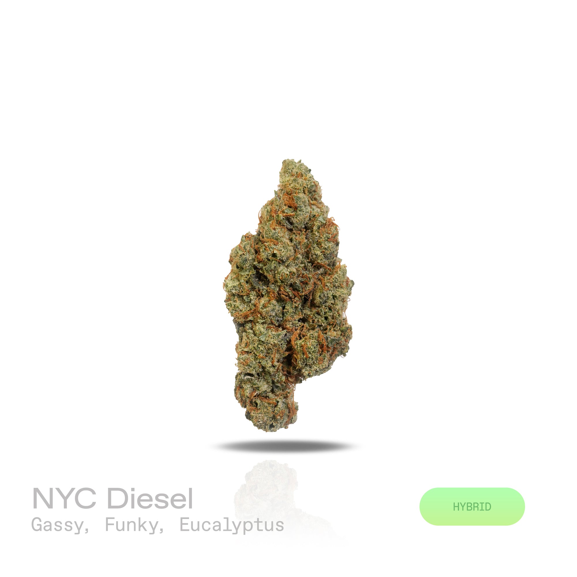 PUFFY NYC Diesel is a captivating hybrid THCa strain, expertly bred from the legendary Sour Diesel and traditional Mexican and Afghani landrace strains. The aroma opens with a bold, gassy diesel scent, layered with funky, earthy undertones and a refreshing hint of eucalyptus that adds a crisp, invigorating touch. Visually, the buds are strikingly vibrant with a rich resin coating, displaying a unique blend of colors and a dense, frosty texture. Consumers often report an uplifting and euphoric high, characte