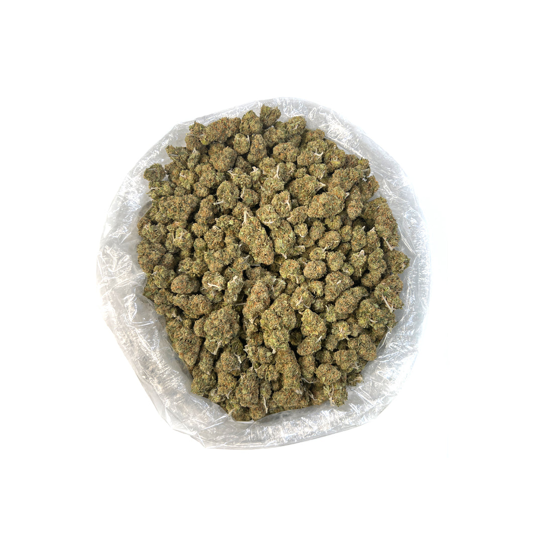 PUFFY OG THCa is renowned for its high potency and balanced effects. Commonly derived from the original OG Kush, which has an established legacy. Users often experience relaxation paired with a sense of mental clarity with this slightly sativa hybrid, making it suitable for a variety of uses. Its versatile nature has made it a favorite among many enthusiasts.