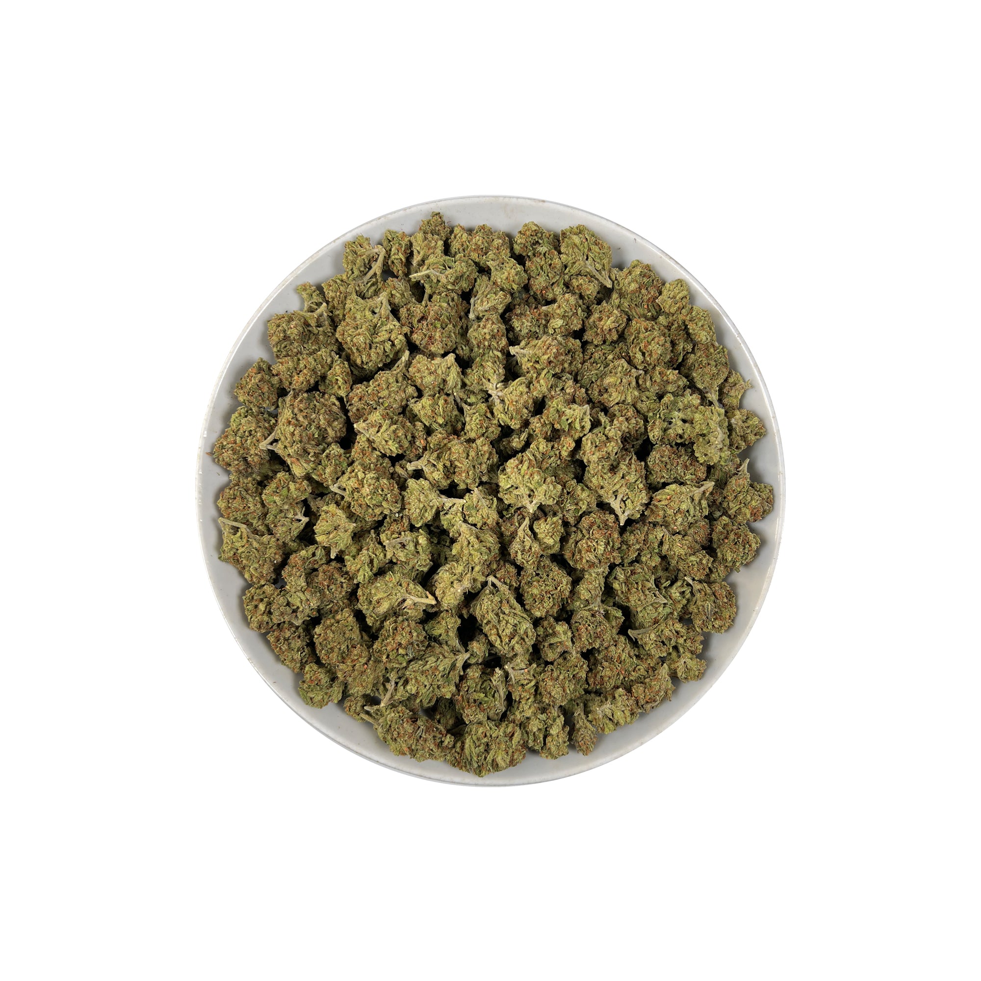 PUFFY Orange Bang is a hybrid THCa strain, expertly crafted from a potent cross between 2010 White, Orange Cookies, and Blowpops genetics. The aroma is a vibrant blend of bright orange, zesty citrus notes, and fresh pine, creating an invigorating and uplifting scent experience. Visually, dense bright green buds with purple hues and fiery orange pistils are coated in sticky trichomes. Consumers often report feeling happy, uplifted, and energetic, with a boost of creativity that pairs beautifully with an over