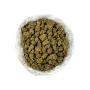 THC-A Flower - Orange Crush (Indoor) (Sativa)