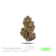 PUFFY Orange Malt is a balanced hybrid THCa strain, born from the decadent union of Ice Cream Cake and Mimosa. The aroma is a bold and unusual blend, where zesty oranges meet pungent, stinky undertones and a hint of sharp, savory onion, creating a truly distinctive sensory experience. Visually, buds are dense and frosty, featuring spring green and purple hues with bright orange pistils and a thick coating of sparkling trichomes. Consumers often report feeling euphoric, energetic, and creative, with a happy,