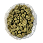 PUFFY ORZ Blizzard is a premium indica-dominant hybrid THCa strain, born from the flavorful cross of Ice Cream Cake and Sunset Sherbet. Its taste profile is a delightful fusion of creamy vanilla and sweet citrus, rounded out by subtle hints of chocolate and mint. The aroma complements the flavor beautifully, offering a blend of sweet vanilla, fruity notes, and a whisper of earthy diesel. Visually, the buds are dense and chunky, coated in a thick layer of frosty trichomes that give them a sparkling, high-qua