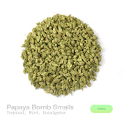 PUFFY Papaya Bomb (smalls) is a balanced hybrid THCa strain, born from the unique pairing of Papaya and THC Bomb. The aroma bursts with vibrant tropical notes, complemented by refreshing hints of mint and a subtle cooling touch of eucalyptus. Visually, buds are dense and frosty, featuring spring green and purple hues with bright orange pistils and a thick coating of sparkling trichomes. Consumers often report feeling euphoric, creatively inspired, joyful, and uplifted, making it a perfect choice for boostin