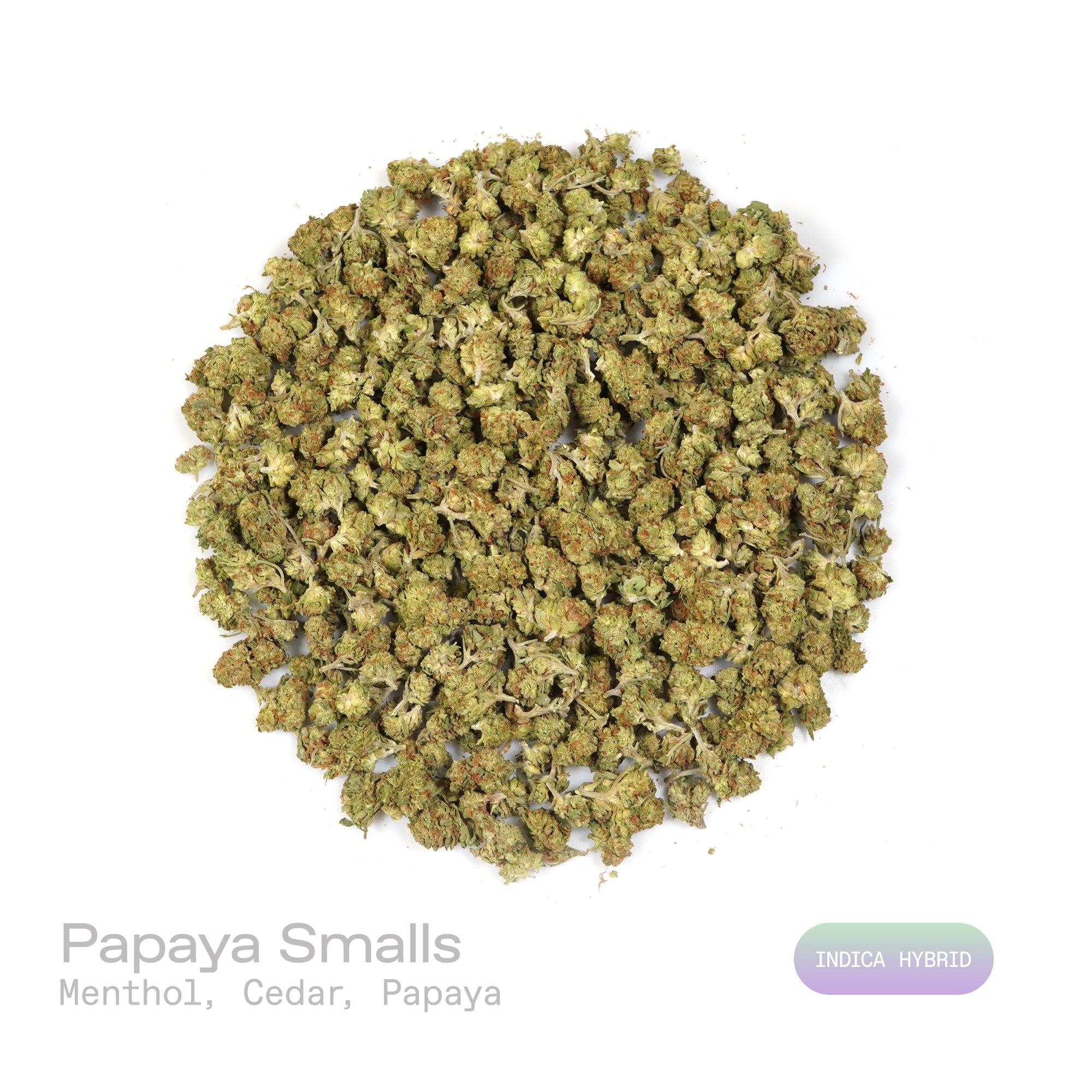 PUFFY Papaya (smalls) is a balanced hybrid THCa strain, originates from the unique pairing of Citral #13 and Ice #2. The aroma is a refreshing blend of cool menthol, earthy cedar, and sweet, tropical papaya, creating a crisp yet inviting sensory experience. Visually, this strain showcases dense, compact buds in shades of bright to deep lime green, heavily coated in white, milky trichomes that give it a frosty appearance. Consumers often describe the effects as euphoric and uplifting, with a gentle cerebral 
