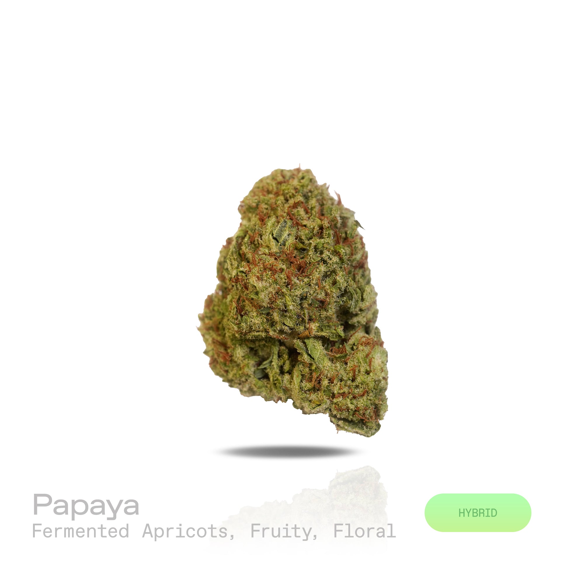 PUFFY Papaya is a premium hybrid THCa strain created from a cross between Citral #13 and Ice #2. The aroma unfolds with the lush scent of fermented apricots, layered with vibrant fruity brightness and soft, delicate floral undertones that linger gracefully. Visually, this strain showcases dense, compact buds in shades of bright to deep lime green, heavily coated in white, milky trichomes that give it a frosty appearance. Consumers often describe the effects as euphoric and uplifting, with a gentle cerebral 