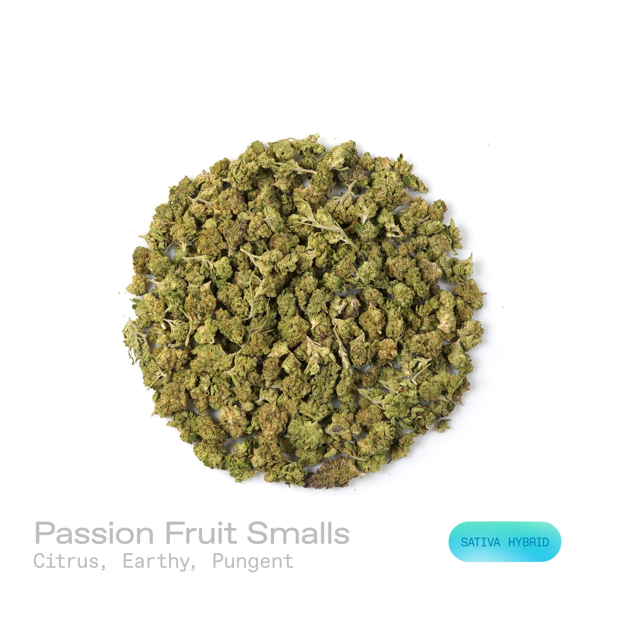PUFFY Passion Fruit (smalls) is a sativa-dominant hybrid THCa strain, originating from the deliciously vibrant fusion of Sweet Pink Grapefruit and Orange Bud. The aroma opens with bright citrus notes, grounded by earthy undertones and finished with a sharp, pungent edge. Visually, the dense buds showcase rich green and purple hues, accented by vibrant orange pistils and a generous coating of sparkling trichomes. Consumers often experience a lively, invigorating effect that sparks imagination, heightens focu