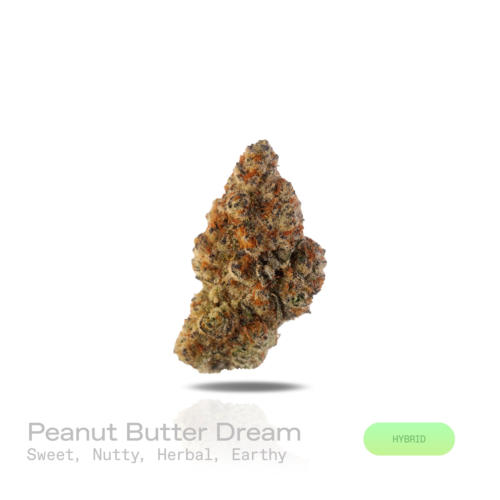 PUFFY Peanut Butter Dream is a balanced hybrid THCa strain, a vibrant cross between Do-Si-Dos and Mendo Breath F2. Aroma is a harmonious blend of sweet and nutty notes, layered with subtle herbal undertones and a deep, earthy foundation. Visually, the buds are deep forest green, dusted with frosty trichomes, with fiery pistils and hints of purple. Consumers often describe a soothing wave of relaxation, gentle euphoria, a pleasant body buzz, and a heightened appetite.
