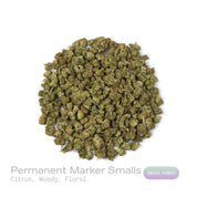 PUFFY Permanent Marker (smalls) is an indica-dominant hybrid THCa strain, born from the complex cross of Biscotti, Jealousy, and Sherbet BX. The aroma opens with bright citrus notes layered over warm, woody undertones, rounded out by a soft floral sweetness that adds depth and elegance to the overall scent profile. Visually striking, the buds feature deep purple and green hues, bright orange pistils, and a thick coating of sparkling resinous trichomes. Consumers often report a blissful euphoria that uplifts