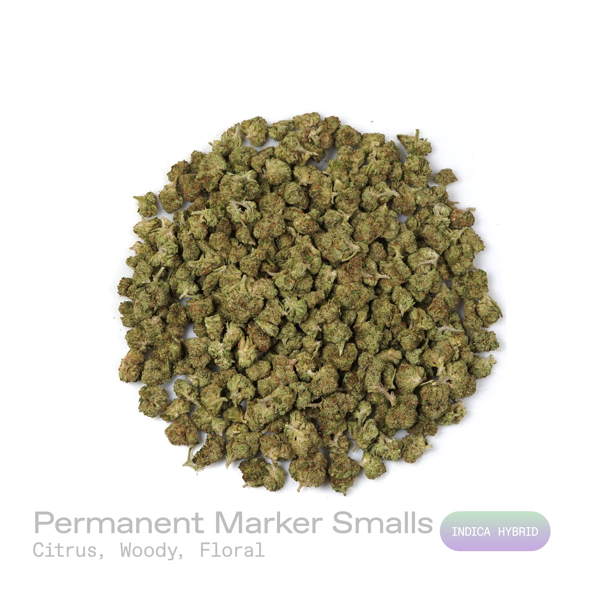 PUFFY Permanent Marker (smalls) is an indica-dominant hybrid THCa strain, born from the complex cross of Biscotti, Jealousy, and Sherbet BX. The aroma opens with bright citrus notes layered over warm, woody undertones, rounded out by a soft floral sweetness that adds depth and elegance to the overall scent profile. Visually striking, the buds feature deep purple and green hues, bright orange pistils, and a thick coating of sparkling resinous trichomes. Consumers often report a blissful euphoria that uplifts