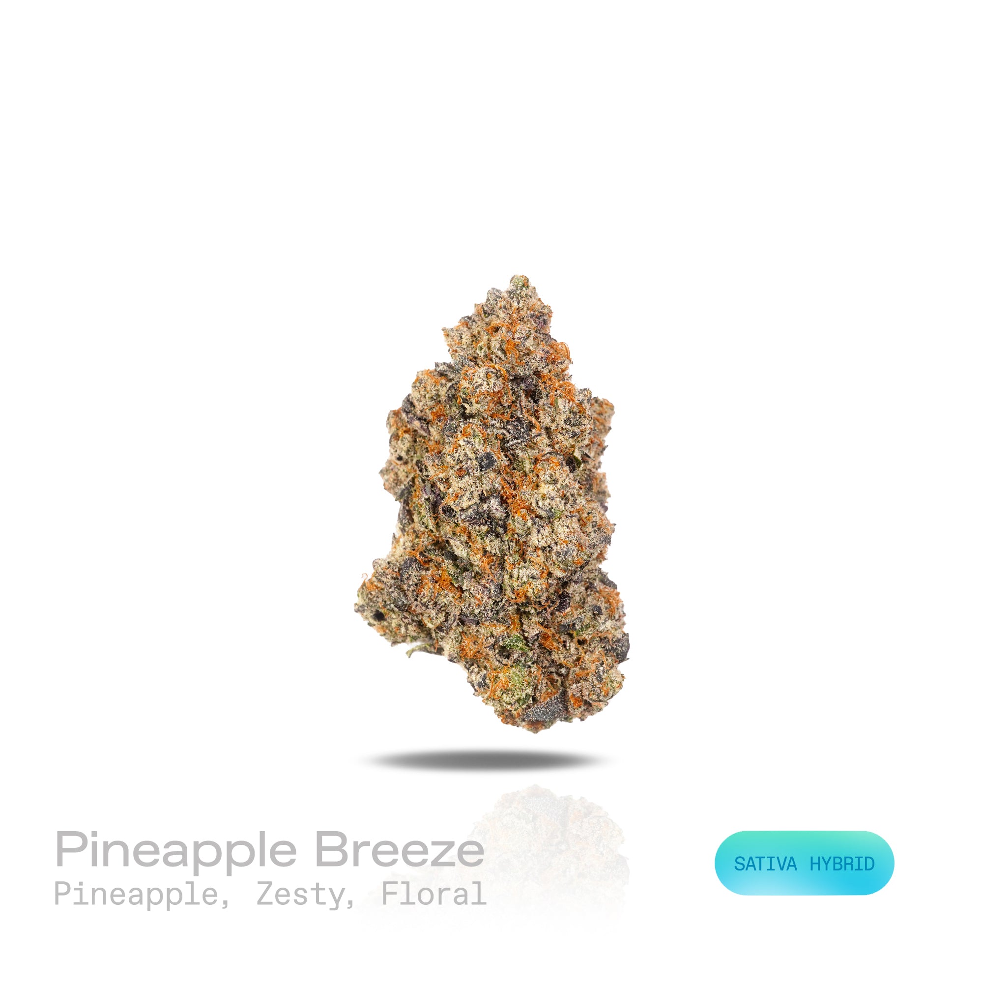 PUFFY Pineapple Breeze is a sativa-dominant hybrid THCa strain, created by crossing Guava Tart × Caribbean Cookies. The aroma opens with sweet pineapple notes, bright zesty undertones, and delicate floral hints. Visually, the buds are dense and bright green, adorned with vivid orange pistils and a generous coating of sparkling trichomes. Consumers often report an uplifting mood and euphoria, enhanced creativity and focus, accompanied by a gentle physical relaxation.
