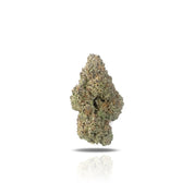 PUFFY THCa Pink Gorilla is a potent indica-dominant strain typically known for its vibrant, frosty appearance and sweet, earthy aroma with floral notes. Combining the robust genetics of Gorilla Glue #4 and Pink 2.0, this strain delivers powerful relaxation, providing a deeply soothing body high often accompanied by a mild euphoria that melts away stress. Popular for evening use, Pink Gorilla is great for unwinding and relieving tension, leaving users in a calming, uplifted state of mind. A top contender for