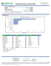 PUFFY Pink Ice is a balanced hybrid THCa strain, expertly crafted from a flavorful union of Pinky and Ice Cream Cake. The aroma is rich and inviting, with doughy notes complemented by hints of chocolate and a subtle, gassy undertone. Visually, dense green buds with hints of purple, bright orange pistils, and a thick coating of sparkling trichomes. Consumers frequently describe a bright, mood‑lifting cerebral buzz that sparks positivity and motivation, paired with a light body calm that keeps the experience 