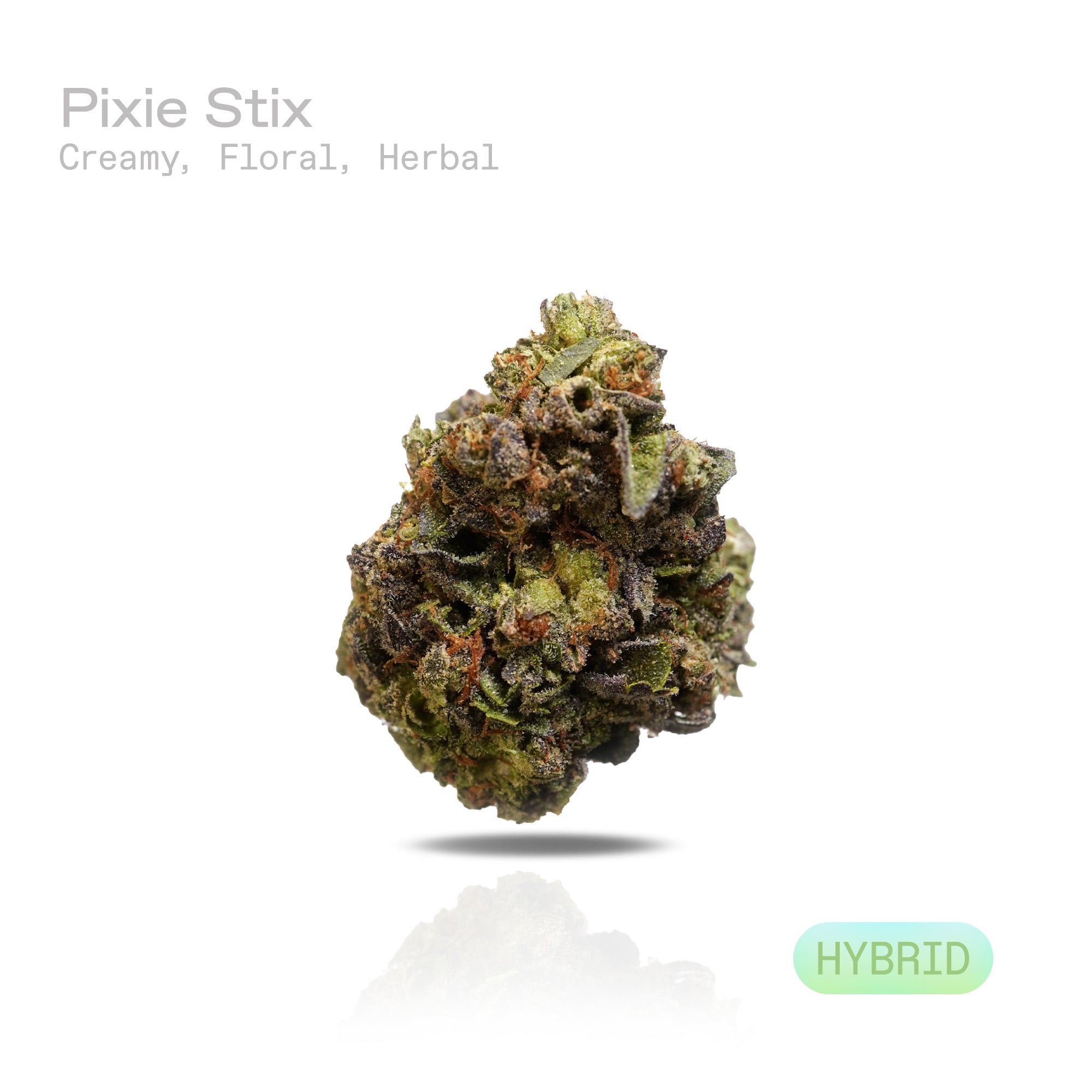 PUFFY Pixie Stix is a balanced hybrid THCa strain born from the cross of Grape Pie and Sherbert BX1. It boasts a smooth, inviting aroma that blends creamy sweetness with delicate floral notes and fresh herbal undertones. Visually, the buds are dense and resin-coated, often showcasing rich purple hues accented by vibrant amber pistils and a thick layer of frosty trichomes. Consumers commonly report effects that are uplifting, euphoric, and energizing, promoting a happy, focused state of mind making it an ide