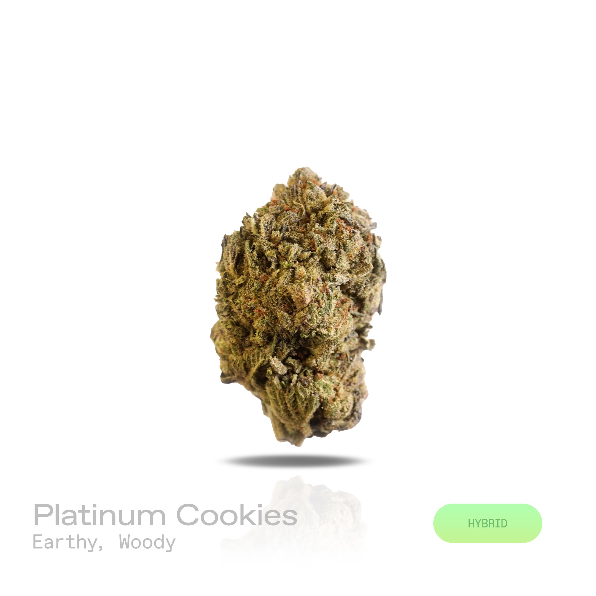 PUFFY Platinum Cookies is a well-balanced hybrid THCa strain, crafted from a flavorful lineage of OG Kush, Durban Poison, and an unknown Platinum cultivar. This strain boasts a rich, grounding aroma with deep earthy tones and warm woody undertones, evoking the scent of fresh soil and aged cedar. Visually striking, its dense buds range from olive green to deep purple, generously coated in frosty white trichomes and highlighted by vibrant orange to amber pistils. Consumers often report feelings of euphoria, r