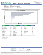 PUFFY Pop Rocks is an indica-dominant hybrid THCa strain with undisclosed parent genetics. It offers a flavorful experience with notes of grape, sweetness, and citrus. While its dominant terpene remains unknown, consumers report that Pop Rocks delivers euphoric, tingly, and uplifting effects. Many choose this strain to help manage symptoms of stress, anxiety, and depression.