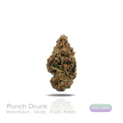 PUFFY Punch Drunk is an indica-dominant hybrid THCa strain, created from the fusion of Purple Punch and Headstash. The aroma delights the senses with a juicy fusion of fresh watermelon, sweet candy, and a splash of fruity punch for an irresistibly playful scent. Visually, the buds captivate with dense, showcasing deep green and royal purple tones intertwined with bright orange pistils and a shimmering coat of trichomes. Consumers often report a euphoric head buzz that uplifts mood and sparks sociable energy