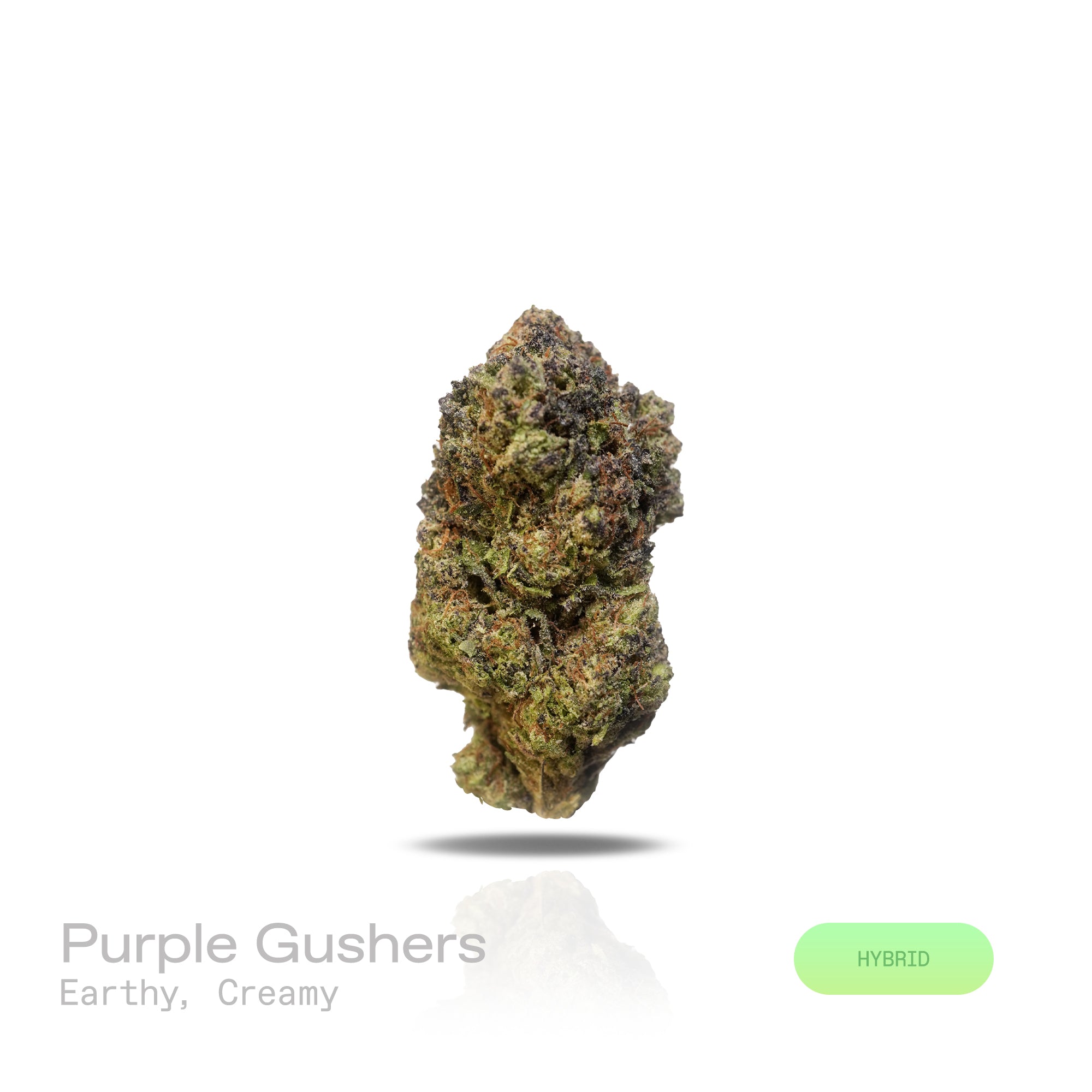 PUFFY Purple Gusher is a well-balanced hybrid THCa strain born from the potent cross between Gelato #41 and Purple Punch. The aroma blends earthy richness with smooth, creamy undertones that entice the senses. Visually, its nugs are dense and chunky, showcasing a vibrant forest-green base laced with deep purple hues, fiery orange pistils, and a heavy dusting of frosty trichomes. Consumers often report an uplifting wave of euphoria and bursts of laughter, followed by a soothing, full-body relaxation. It's a 