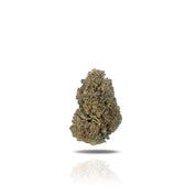 THC-A Flower - Purple Octane (Indoor) (Indica)