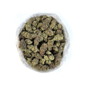 PUFFY Purple Urkle THCa is a renowned California strain, believed to originate from a select phenotype of Mendocino Purps. Its distinct essence combines rich notes of skunk, ripe berries, and fresh grapes, delivering a uniquely aromatic experience. Consumers frequently report deeply relaxing, sleep-inducing effects, making it an excellent choice for full-body pain relief. With a rapid onset, this strain is ideal for nighttime use, particularly for those struggling with insomnia.