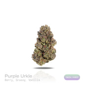 PUFFY Purple Urkle is an indica-dominant hybrid THCa strain, born from the cross of Mendo Purps and Granddaddy Purple. The aroma opens with sweet berry notes, balanced by a fresh grassy undertone and a smooth, creamy hint of vanilla. Visually appealing, the buds are dense with forest-green and purple hues, bright orange pistils, and a sparkling layer of trichomes. Consumers often report deep body relaxation that promotes restful sleep, often accompanied by uplifting euphoria and a heightened appetite.