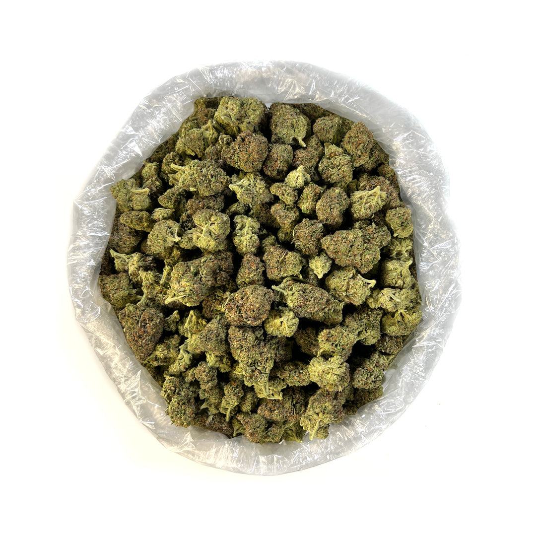 PUFFY Push Pop is a premium indica-dominant hybrid THCa strain, expertly crafted by crossing Cookies and Cream with Temple Flo. This strain boasts an exceptionally smooth and creamy flavor profile, delivering a sweet, milky candy taste with a sugary aroma that lingers. Visually, it’s a stunner, with dense, bushy buds in vibrant light green and orange hues, coated in a thick layer of icy trichomes that shimmer under the light. Consumers report uplifting and euphoric effects, creating a buzzy, feel-good sensa