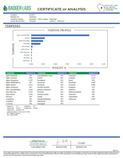 PUFFY Push Pop is a premium indica-dominant hybrid THCa strain, expertly crafted by crossing Cookies and Cream with Temple Flo. This strain boasts an exceptionally smooth and creamy flavor profile, delivering a sweet, milky candy taste with a sugary aroma that lingers. Visually, it’s a stunner, with dense, bushy buds in vibrant light green and orange hues, coated in a thick layer of icy trichomes that shimmer under the light. Consumers report uplifting and euphoric effects, creating a buzzy, feel-good sensa