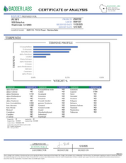 PUFFY Rainbow Belts is an indica-dominant hybrid THCa strain, created from the legendary pairing of ZKZ × Moonbow. The aroma delights with sweet candy notes, smooth vanilla warmth, and a delicate floral bouquet. Visually, the buds resemble emerald clouds with violet hints, bright orange pistils, and a sparkling layer of frosty trichomes. Consumers often report an uplifting, euphoric head‑buzz that boosts sociability and giddiness, followed by a gentle, tingling body high that relaxes.