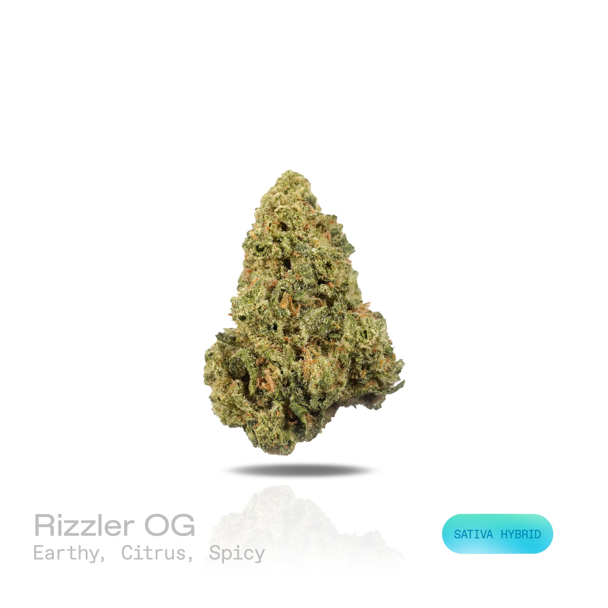 PUFFY Rizzler OG is a sativa-dominant hybrid THCa strain, crafted from the renowned XJ‑13 genetics. The aroma is a captivating blend of earthy undertones, zesty citrus notes, and a hint of warming spice, creating a sensory experience that delights the senses. Visually, dense green buds with purple hues and fiery orange pistils are coated in sticky trichomes. Consumers often report a bright, uplifting, and euphoric high that sparks creativity, sharpens focus, and elevates mood.