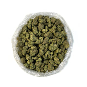 PUFFY Runtz Cake is a balanced hybrid THCa strain crafted from the flavorful union of White Runtz and Wedding Cake. This strain offers a creamy, smoky aroma that entices the senses with its smooth and rich profile. Visually, the buds are dense and popcorn-shaped, showcasing vibrant forest-green hues accented by fiery amber pistils and coated in a thick layer of sticky, resinous trichomes. Consumers often report a calming and deeply relaxing effect, frequently accompanied by waves of euphoria, bursts of gigg