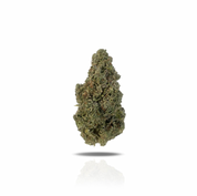 PUFFY Runtz Cake is a balanced hybrid THCa strain crafted from the flavorful union of White Runtz and Wedding Cake. This strain offers a creamy, smoky aroma that entices the senses with its smooth and rich profile. Visually, the buds are dense and popcorn-shaped, showcasing vibrant forest-green hues accented by fiery amber pistils and coated in a thick layer of sticky, resinous trichomes. Consumers often report a calming and deeply relaxing effect, frequently accompanied by waves of euphoria, bursts of gigg
