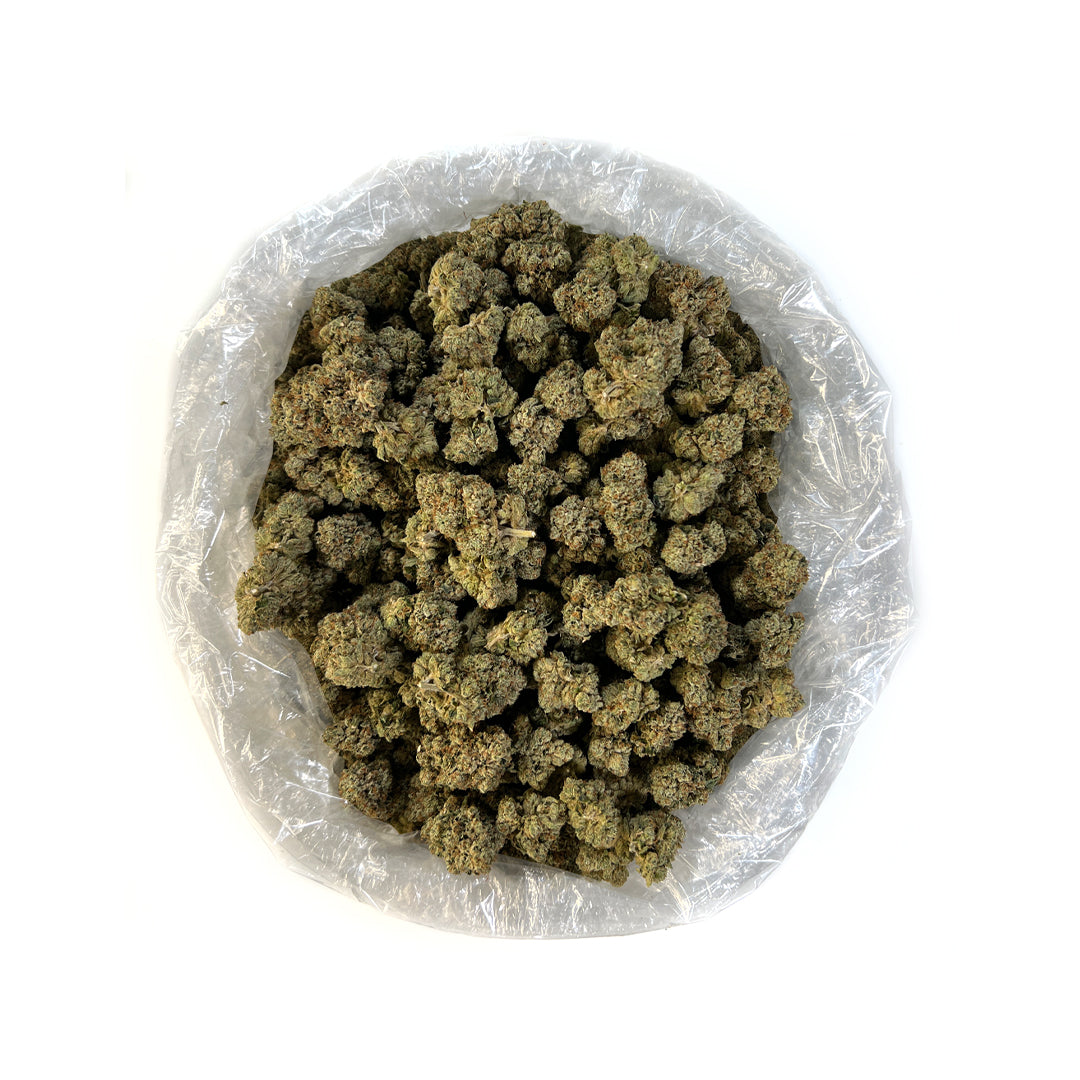 PUFFY SFV OG, also known as "San Fernando Valley OG," "San Fernando Valley Kush," and "San Fernando Valley," is a sativa-dominant hybrid THCa strain bred by Cali Connection. It features aromatic notes of earthy pine and lemon, delivering a refreshing and invigorating scent. Consumers report that SFV OG’s cerebral effects kick in first, creating a hazy, uplifting head high, while its full-body relaxation follows more gradually. This makes it an excellent choice for those seeking powerful pain relief without 