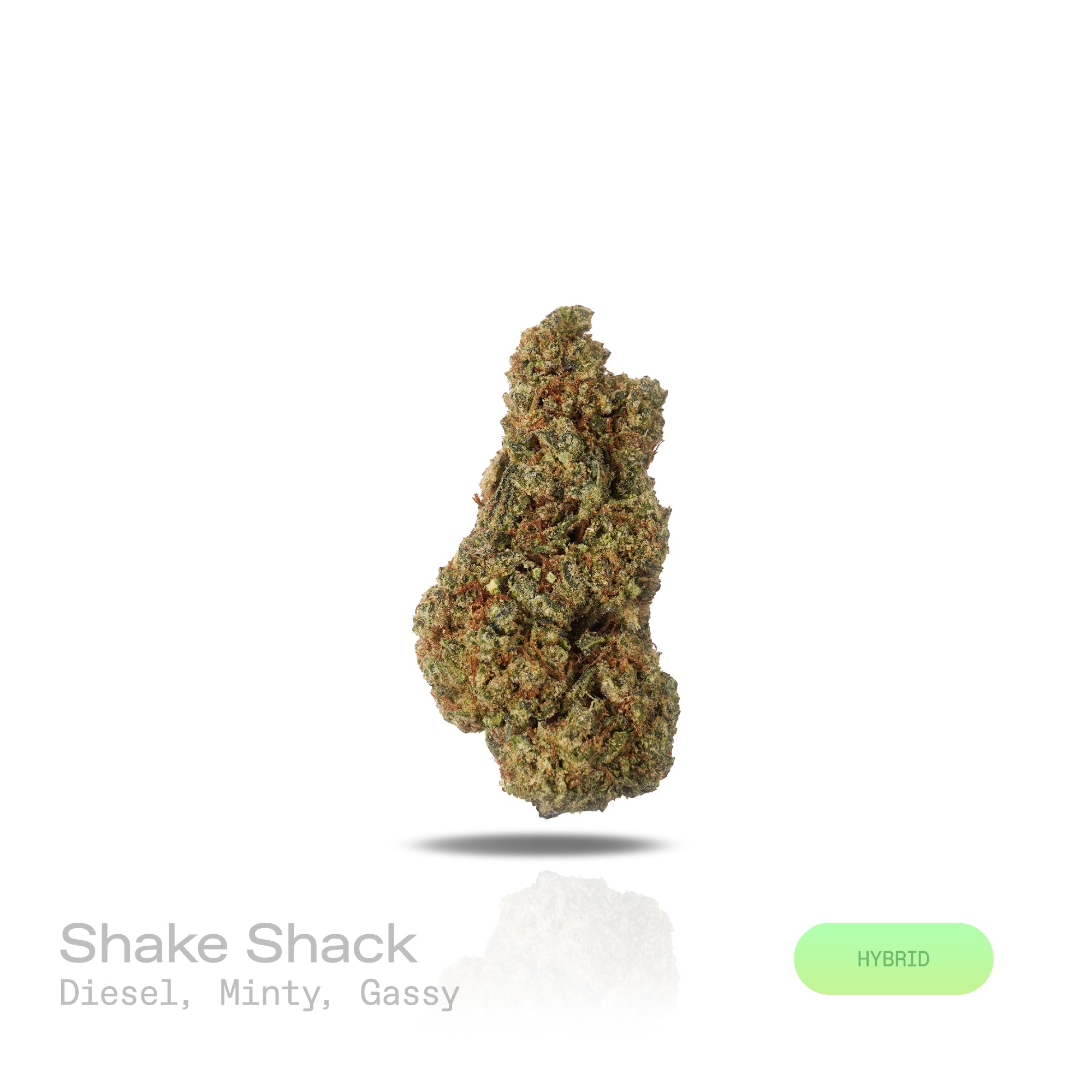 PUFFY Shake Shack is a balanced hybrid THCa strain, born from the flavorful cross of Ice Cream Cake × OG Fruit Smoothie. The aroma combines sharp diesel notes with a cool, minty freshness and a strong gassy undertone. Visually, the buds are dense and chunky, showing forest-green tones with frosty trichomes and subtle orange-amber pistils for contrast. Consumers often describe a soothing full-body relaxation paired with a calm, clear mind, while others note uplifting effects that boost mood, spark euphoria, 