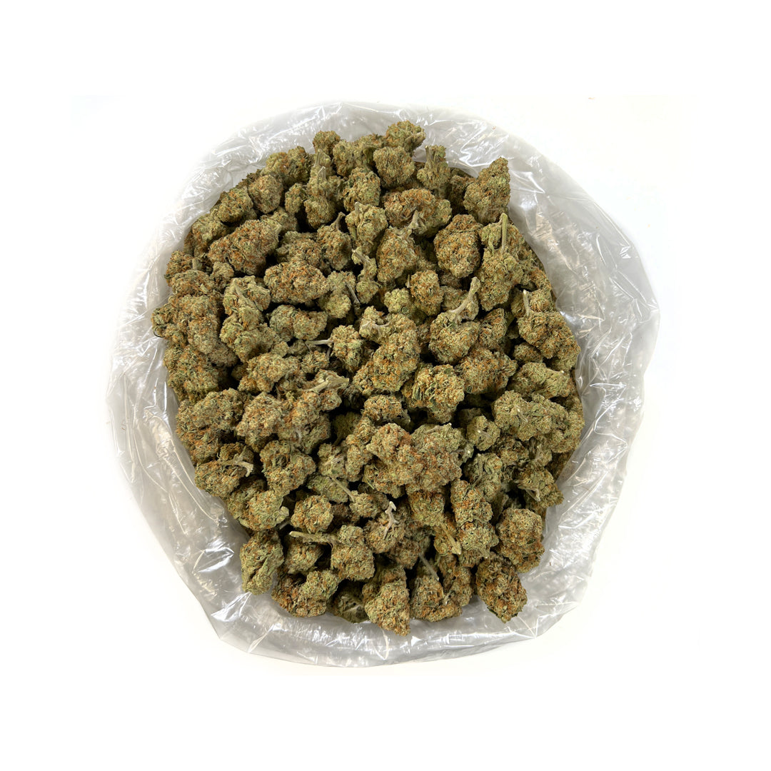 PUFFY Shark Bite THCA is a top-quality hybrid combining Great White Shark and a Face Off OG backcross. It’s quick to grow and easy for beginners. The buds are dense and sticky, with a sweet candied fruit aroma and a hint of skunky OG flavor. Users report feeling energetic, uplifted, and euphoric, making it a great choice for a mood boost.