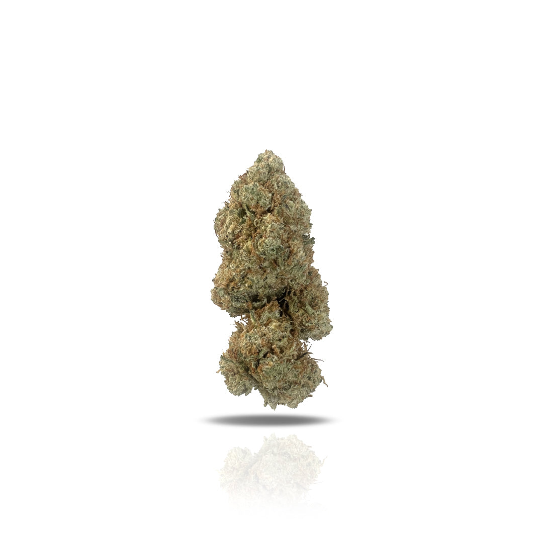 PUFFY Shark Bite THCA is a top-quality hybrid combining Great White Shark and a Face Off OG backcross. It’s quick to grow and easy for beginners. The buds are dense and sticky, with a sweet candied fruit aroma and a hint of skunky OG flavor. Users report feeling energetic, uplifted, and euphoric, making it a great choice for a mood boost.