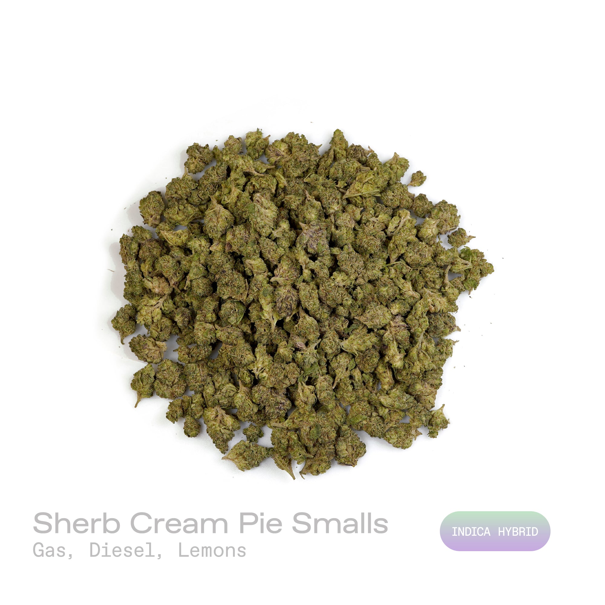 PUFFY Sherb Cream Pie (smalls) is an indica-dominant hybrid THCa strain, born from the renowned cross of Ice Cream Cake and Sherb BX1. The aroma bursts with sharp gas and pungent diesel, balanced by a zesty twist of fresh lemons. Visually, the buds are light and airy with a slightly conical form, showcasing rich green and purple tones, all enveloped in a sparkling layer of frosty trichomes. Consumers often report a wave of euphoria and happiness paired with soothing relaxation and a balanced mental uplift.
