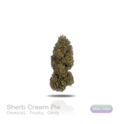 PUFFY Sherb Cream Pie is an indica-dominant hybrid THCa strain, born from the renowned cross of Ice Cream Cake and Sherb BX1. The aroma bursts with a playful blend of sweet candy and fruity notes, underlined by a sharp, tangy chemical edge. Visually, the buds are light and airy with a slightly conical form, showcasing rich green and purple tones, all enveloped in a sparkling layer of frosty trichomes. Consumers often report a wave of euphoria and happiness paired with soothing relaxation and a balanced ment