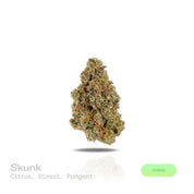 PUFFY Skunk is a balanced hybrid THCa strain, expertly bred from the legendary landrace genetics of Afghani, Acapulco Gold, and Colombian Gold. The aroma bursts with sharp citrus notes, underlined by a rich, fuel-like diesel scent and a bold, pungent undertone that lingers enticingly. Visually, the dense buds display deep green and purple hues, bright orange pistils, and a coating of sparkling trichomes. Consumers often report a focused cerebral high paired with body calm, bringing euphoria, relaxation, cre