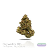 PUFFY Skywalker OG is an indica-dominant hybrid THCa strain, born from the expert cross of Skywalker and OG Kush. The aroma is a refreshing blend of crisp eucalyptus, sweet berry notes, and a subtle, warming spiciness that lingers on the senses. Visually, dense green buds with purple hues and fiery orange pistils are coated in sticky trichomes. Consumers often report a deeply relaxing body high accompanied by euphoric yet calm happiness, frequently leading to sleepiness and increased appetite, best enjoyed 