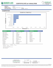 PUFFY S’mores also known as Smores or S’more, is a balanced hybrid THCa strain born from a genetic cross between Pink Panther and Stardawg. This strain delivers a rich and complex flavor profile, blending bold notes of coffee and tobacco with a subtle sweetness reminiscent of its namesake treat. The dominant terpene, caryophyllene, enhances its aromatic depth and potential therapeutic benefits. Consumers describe the effects of S’mores as deeply relaxing, mood-boosting, and sedative, making it an excellent 