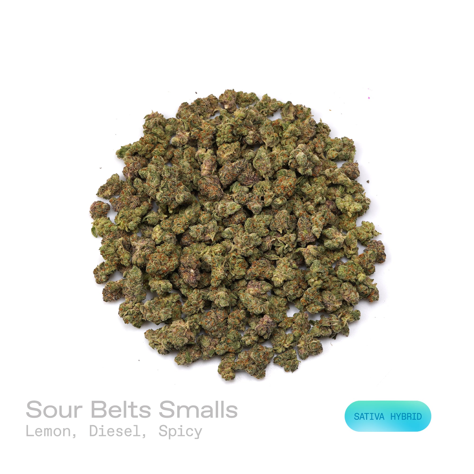 PUFFY Sour Belts (smalls) is a sativa-dominant hybrid THCa strain, born from the legendary union of Sour Diesel and Candyland. The aroma presents a zesty blend of tangy lemon, sharp diesel, and a subtle spicy undertone. Visually, the buds are dense and bright green, adorned with vibrant orange pistils and coated in a generous layer of sticky, glistening trichomes. Consumers often report an uplifting, euphoric onset that feels energetic and social, followed by a gentle, calming relaxation that balances the i