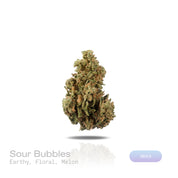 PUFFY Sour Bubbles is a powerhouse pure indica THCa strain from B.O.G. Seeds, born from a hand-picked phenotype of their iconic BOG Bubble. The aroma is a rich blend of earthy and floral notes, layered with a sweet hint of melon. Visually dense, crystal-coated buds in vibrant green, accented with flashes of orange and purple. Consumers describe the experience as deeply relaxing, often melting into a blissful calm that brings gentle tingles, uplifting euphoria, and an easy drift toward restful sleep.
