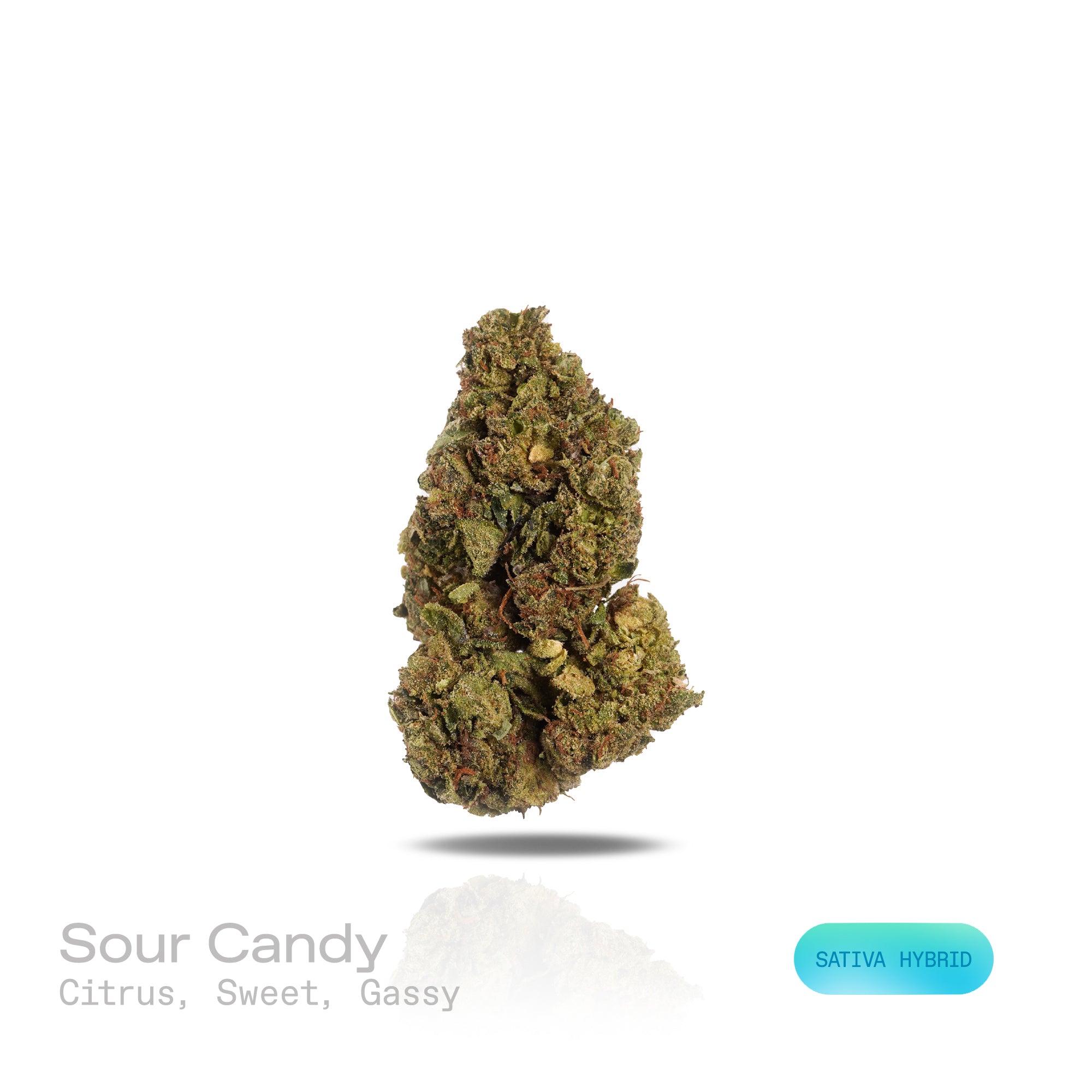 PUFFY Sour Candy is a sativa-dominant hybrid THCa strain, born from the flavorful cross of Sour Diesel and Bubblegum. The aroma bursts with bright citrus notes, layered with sweet undertones and a bold gassy finish that adds depth and intensity to its scent profile. Visually, the buds showcase a dense structure with light forest-green hues, vibrant orange pistils, and a generous frosty blanket of sparkling trichomes. Consumers often describe a cheerful, talkative high that sparks creativity and social ease,