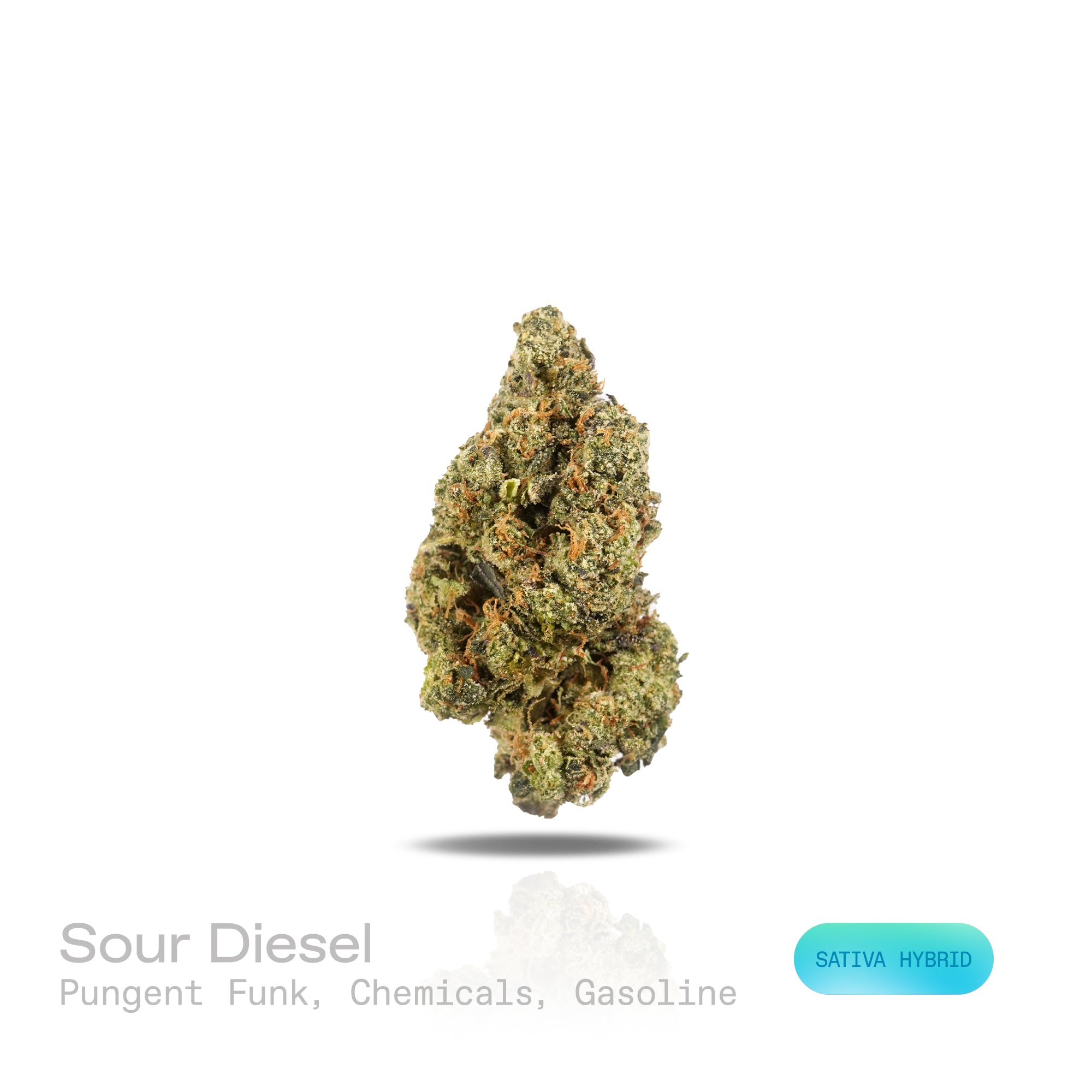 PUFFY Sour Diesel is a sativa-dominant hybrid THCa strain, born from the pairing of Chemdawg and Super Skunk. The aroma is a bold, pungent blend of funk, sharp chemicals, and gasoline, creating an intense and unmistakably edgy scent profile. Visually, this strain features dense light-green buds accented by vibrant orange pistils and a thick, frosty layer of trichomes. Consumers often report that this strain enhances mood, sharpens focus, and sparks creativity with its uplifting, cerebral, and energizing eff