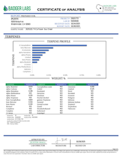 PUFFY Sour Diesel is a sativa-dominant hybrid THCa strain born from the pairing of Chemdawg and Super Skunk. The aroma carries a strong earthy base layered with pungent diesel notes and a sharp hint of chemical undertones, creating a bold and intense scent profile. Visually, this strain features dense light-green buds accented by vibrant orange pistils and a thick, frosty layer of trichomes. Consumers often report that this strain enhances mood, sharpens focus, and sparks creativity with its uplifting, cere