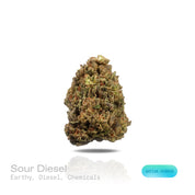 PUFFY Sour Diesel is a sativa-dominant hybrid THCa strain born from the pairing of Chemdawg and Super Skunk. The aroma carries a strong earthy base layered with pungent diesel notes and a sharp hint of chemical undertones, creating a bold and intense scent profile. Visually, this strain features dense light-green buds accented by vibrant orange pistils and a thick, frosty layer of trichomes. Consumers often report that this strain enhances mood, sharpens focus, and sparks creativity with its uplifting, cere