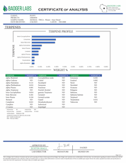 PUFFY Sour Diesel, aka "Sour D" or "Sour Deez," is a highly sought-after hybrid THCa strain born from the pairing of Chemdawg and Super Skunk. Users reported this for its dreamy, cerebral, and fast-acting effAects. It delivers an energizing buzz that users love. Its bold, pungent aroma and flavor profile are unmistakably reminiscent of diesel fuel, adding to its iconic reputation. Many consumers claim that they turn to Sour Diesel for its potential to alleviate symptoms of depression, pain, and stress.