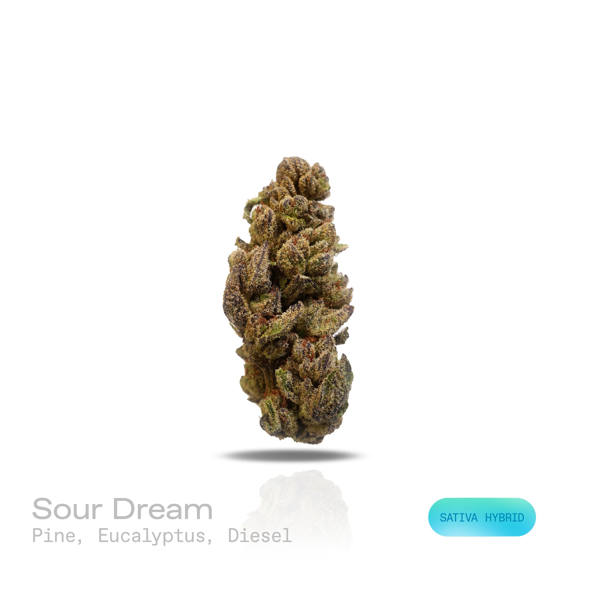 PUFFY Sour Dream is a sativa-dominant hybrid THCa strain, born from the iconic cross of Sour Diesel and Blue Dream. It boasts a pungent aroma that combines the sharp notes of diesel with zesty citrus and a hint of sweet berry. The flavor profile is equally bold, featuring a tangy blend of sour citrus and diesel, often described as grapefruit-like in its sharpness. Visually, the strain is striking, with lime-green buds adorned with vibrant orange pistils and coated in frosty trichomes. Consumers often report